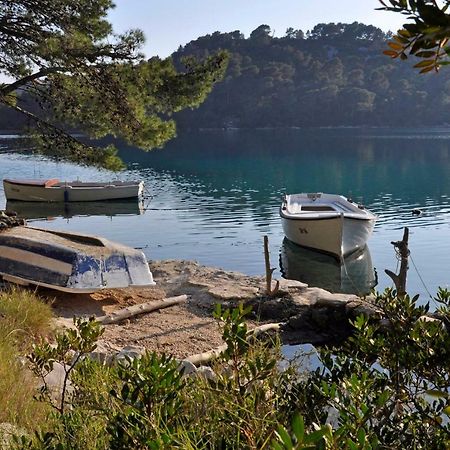 شقة Authentic Ap For 2, Babino Polje,Mljet المظهر الخارجي الصورة