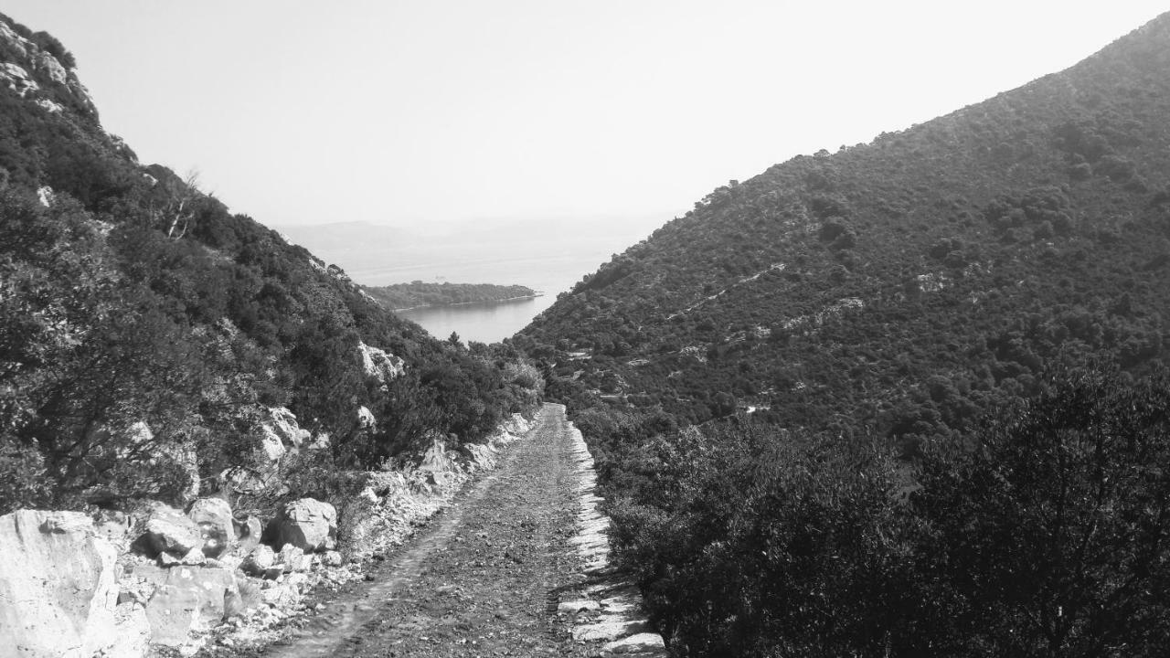 شقة Authentic Ap For 2, Babino Polje,Mljet المظهر الخارجي الصورة