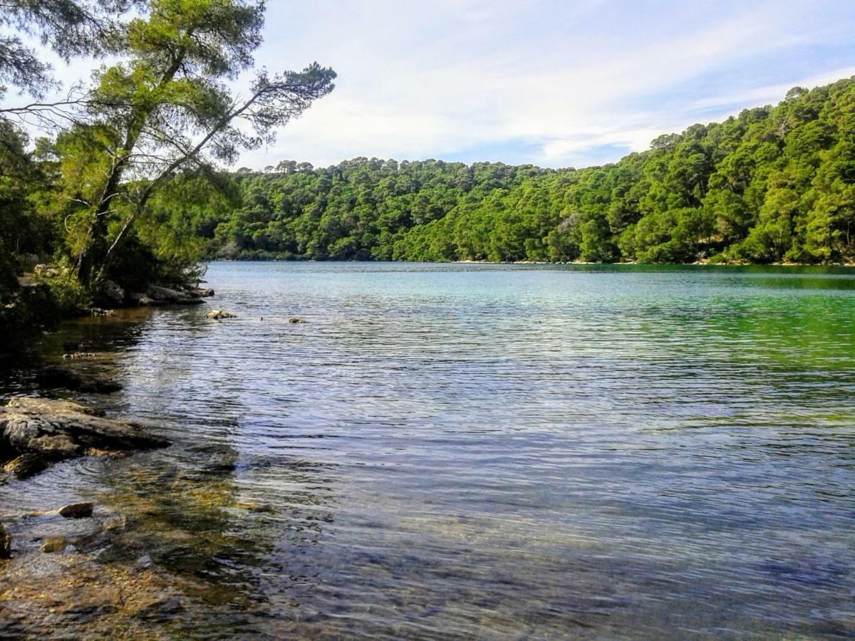 شقة Authentic Ap For 2, Babino Polje,Mljet المظهر الخارجي الصورة