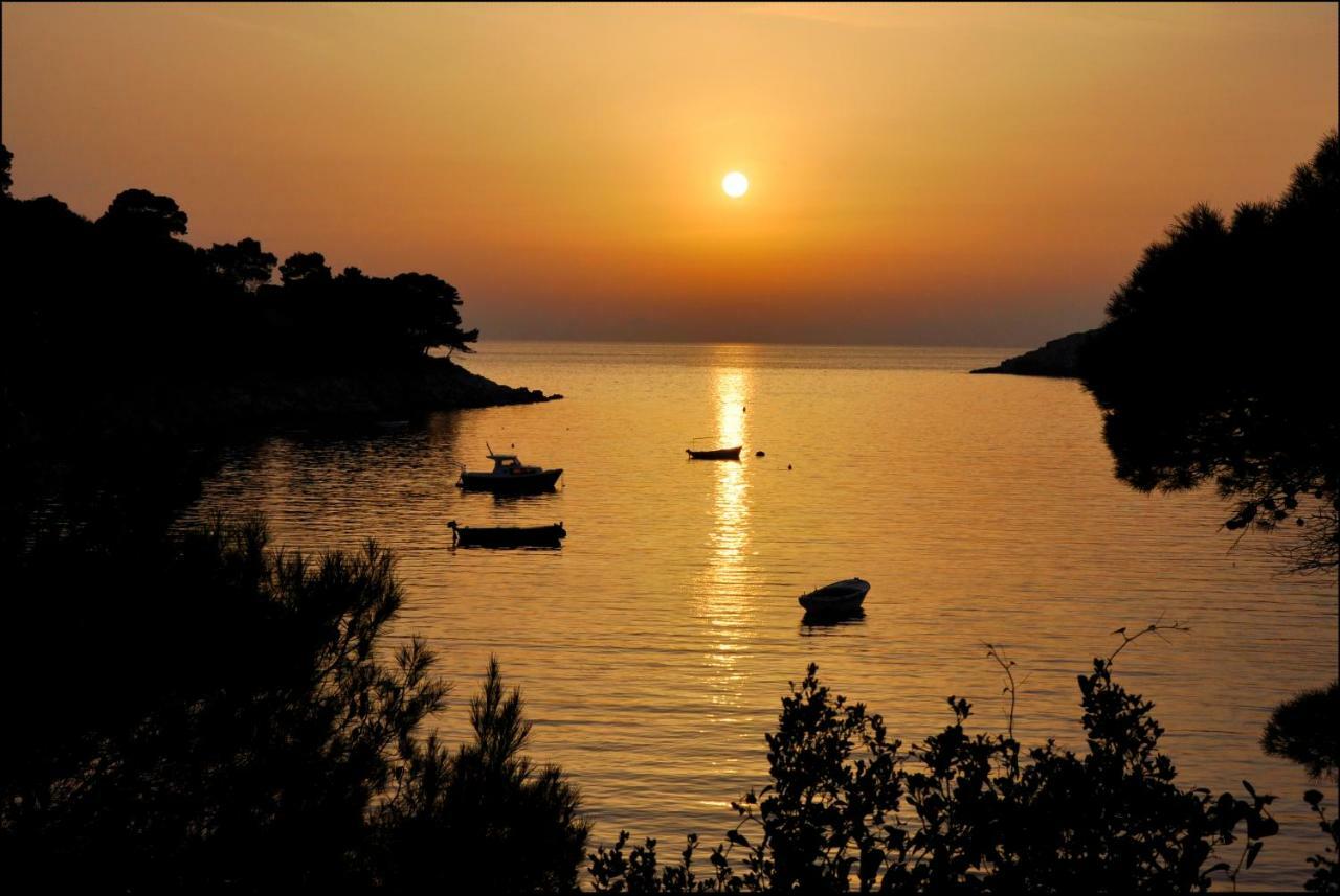 شقة Authentic Ap For 2, Babino Polje,Mljet المظهر الخارجي الصورة