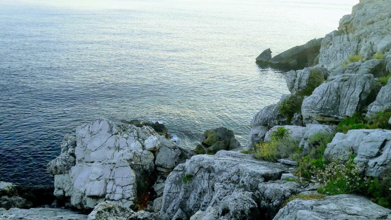 شقة Authentic Ap For 2, Babino Polje,Mljet المظهر الخارجي الصورة
