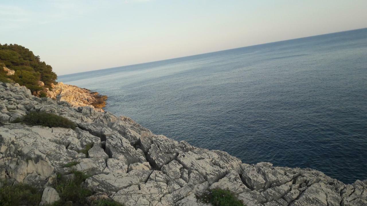 شقة Authentic Ap For 2, Babino Polje,Mljet المظهر الخارجي الصورة
